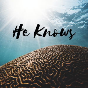 He Knows | Psalm 139