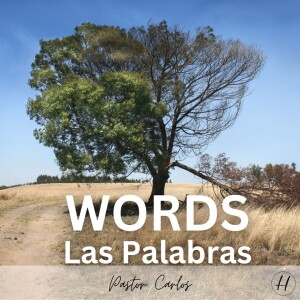 08-13-23 ”Words” Prov. 18:20-21 - Pastor Carlos