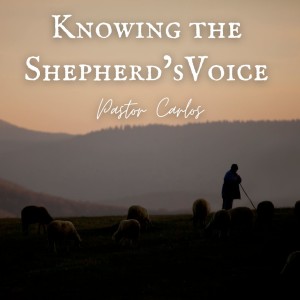 09-18-22 ”Knowing the Shepherd’s Voice” Hebrews 5:12-14 - Pastor Carlos