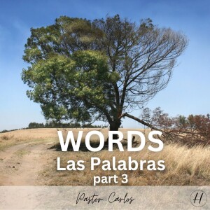 08-27-23 ”Words” part 3 - Prov. 18:20-21 - Pastor Carlos