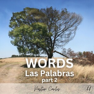 08-20-23 ”Words” pt 2 Prov. 18:20-21 - Pastor Carlos