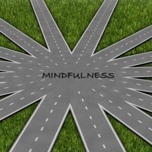 Episode 54 - The roads may criss-cross, but we always come back to the main ave: Mindfulness