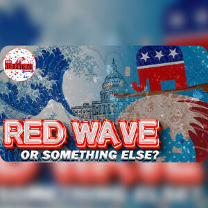Red Wave, Blue Tsunami, Or Postponed Elections - What Will Happen? • Just Remain Calm!!!