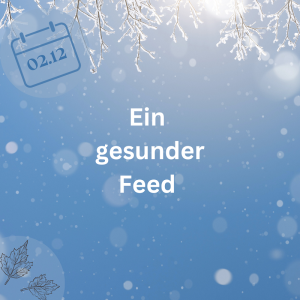 02.12.23 – Ein gesunder Feed