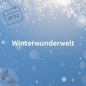 07.12.23 - Winterwunderwelt