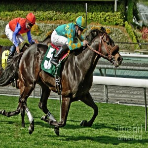 Strong in the Saddle with Joe Talamo