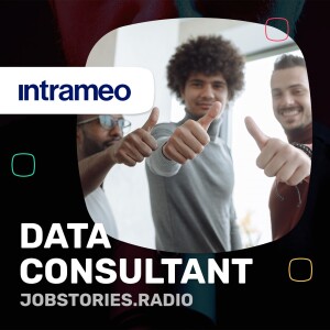 Data consultants - Intrameo