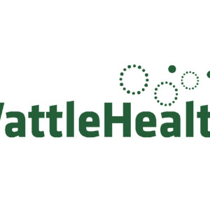 Work Biography for Peter Biantes, Wattle Health Australia
