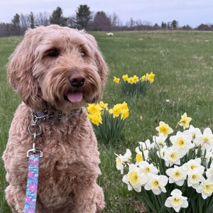 "Spring Awakening at PCA: Celebrating Community and Growth"