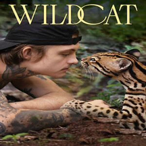 Under the Stole: Wildcat