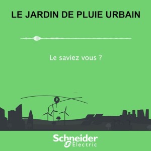 Le Saviez-vous ? Le jardin de pluie urbain