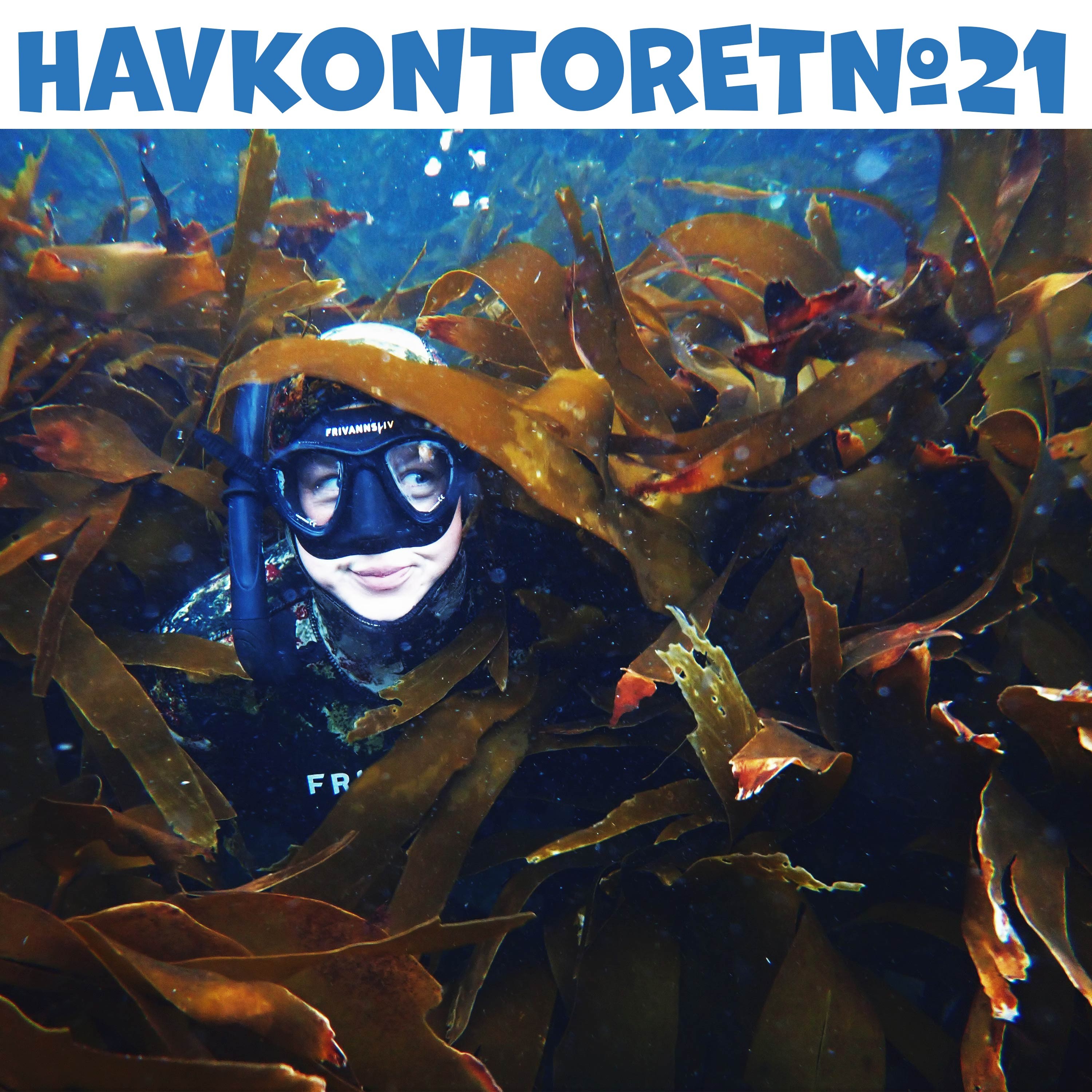 Havkontoret