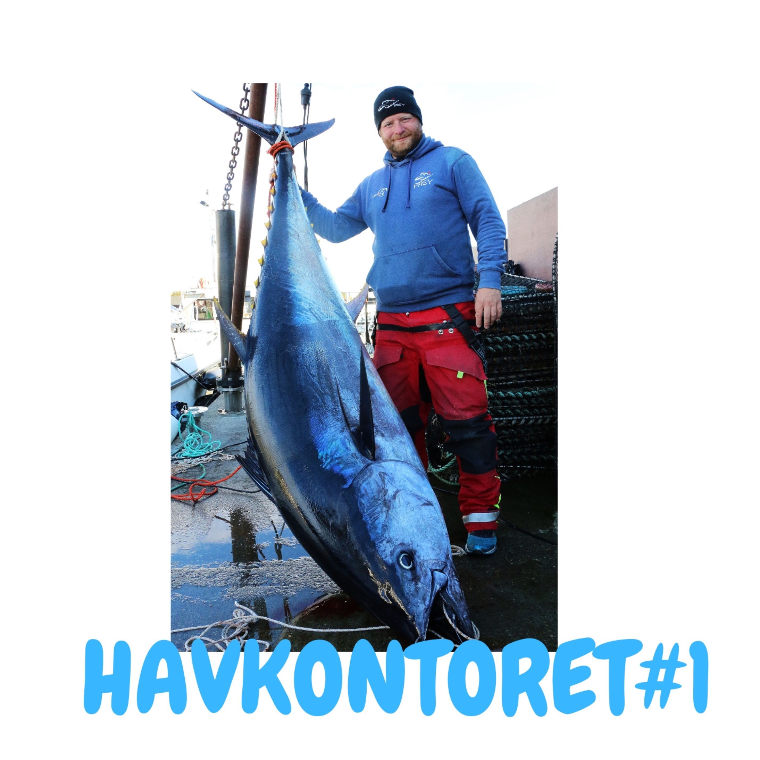 Havkontoret