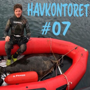 Havkontoret episode 7 - Joel Burman