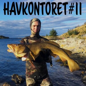 Havkontoret 11 - Kristian Ueland