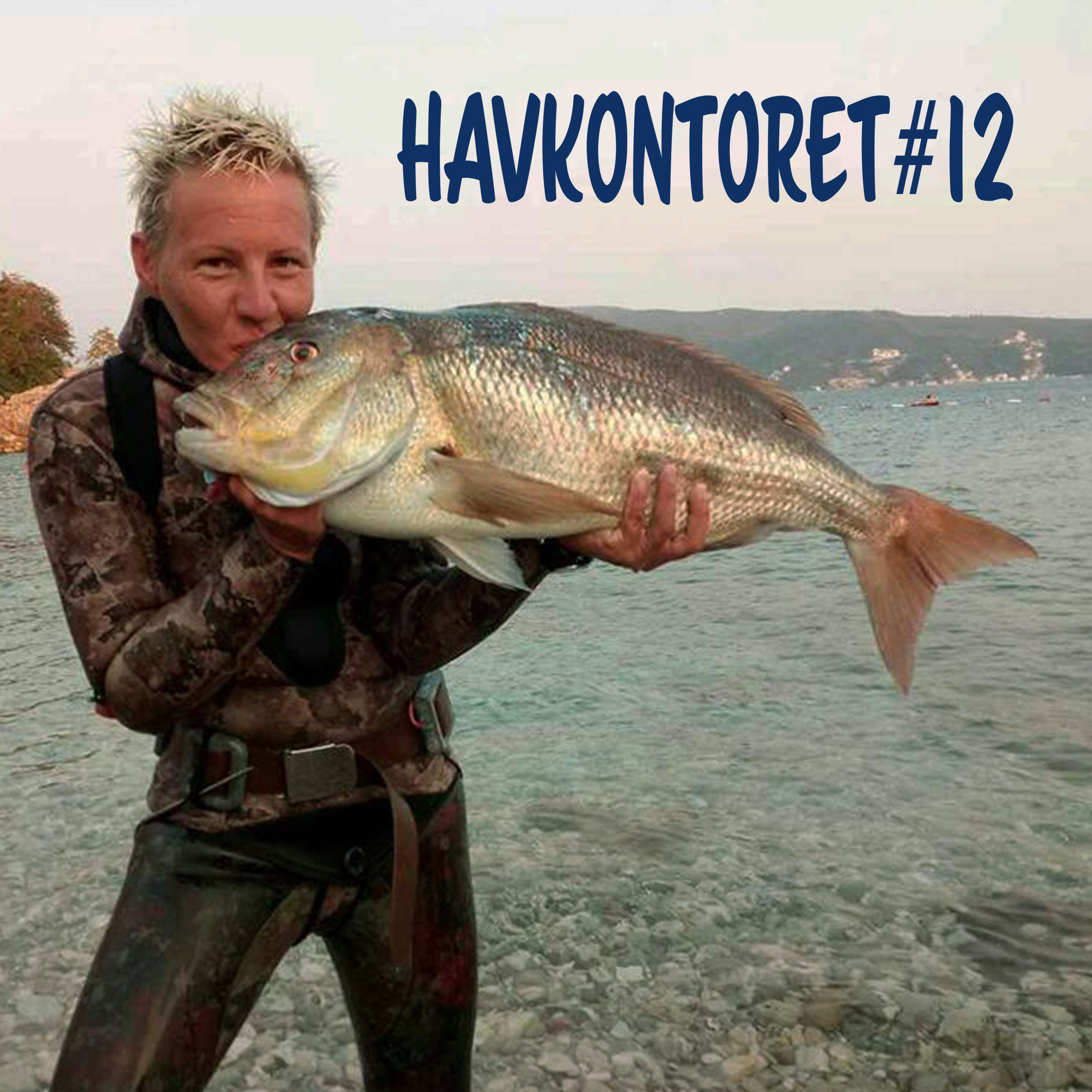 Havkontoret