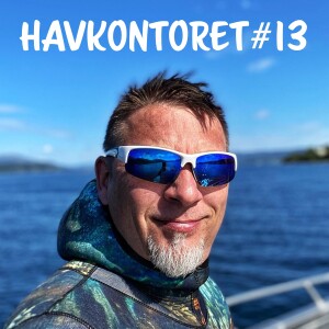 Havkontoret 13 - Ivan Knudseth