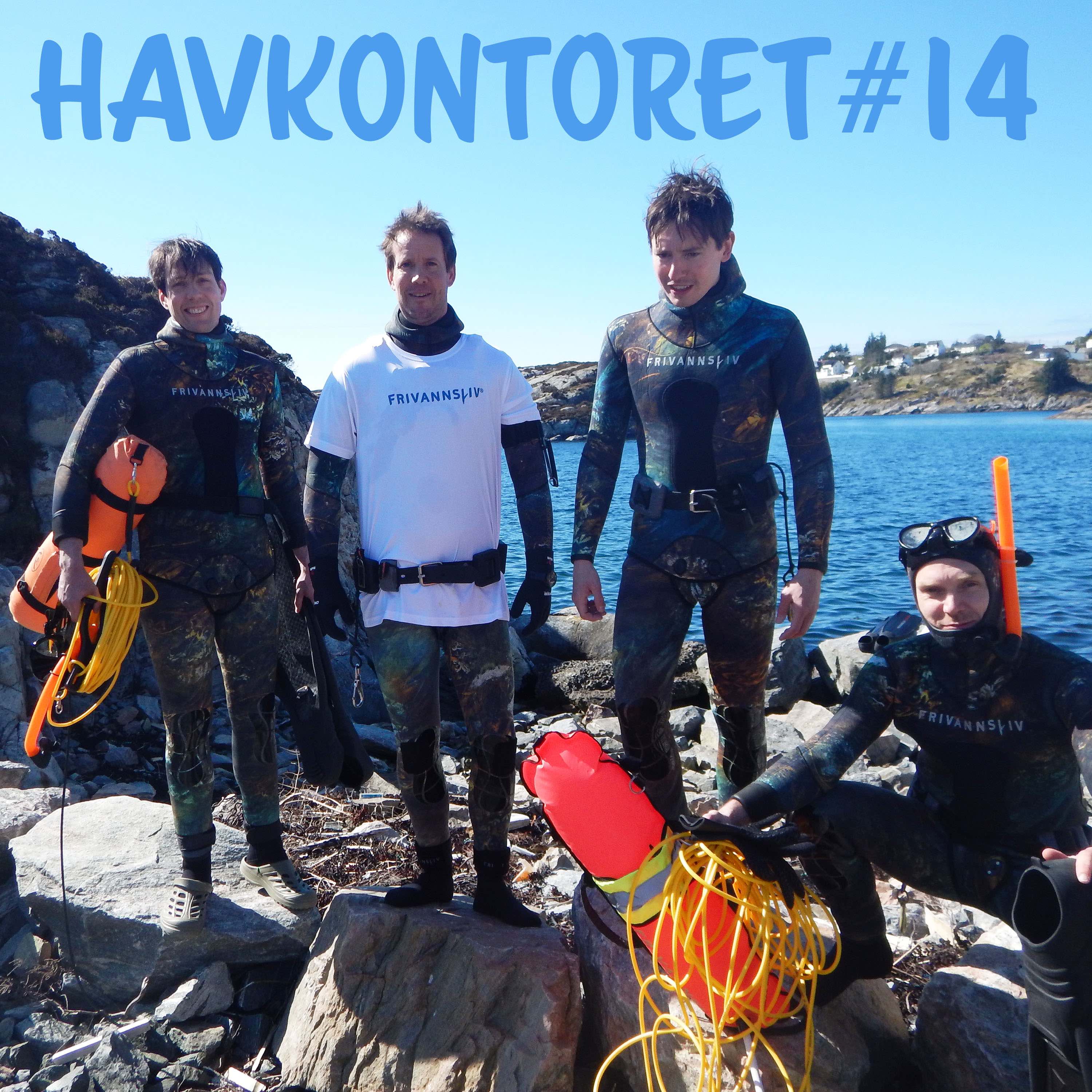 Havkontoret