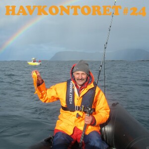 Havkontoret 22 - Torstein Pedersen