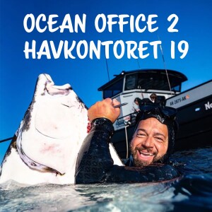 Havkontoret 19 - Ocean Office 2 - John Dornellas