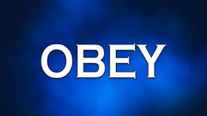 The Gift of Boldly Obeying