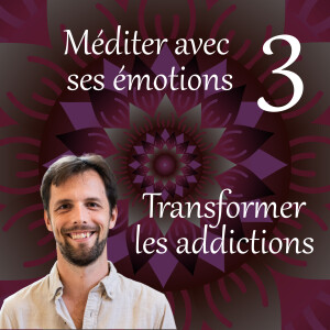 Transformer les addictions - Méditer avec ses émotions 3