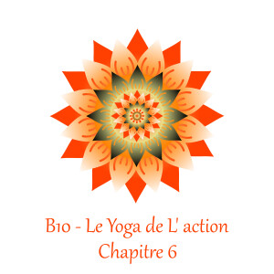 Le Yoga de l’Action 10 - Nirvana