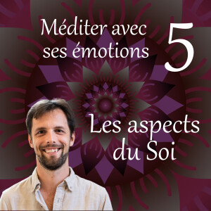 Les aspects du Soi - Méditer avec ses émotions 5