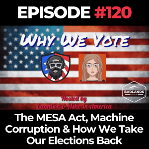 Why We Vote Ep. 120: The MESA Act, Machine Corruption & How We Take Our Elections Back