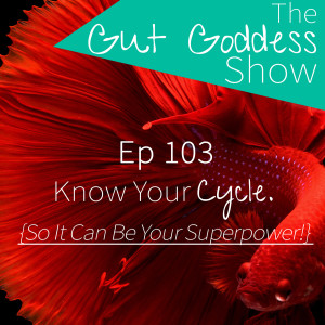 Ep 103: Know Your Cycle {& So It Can Be Your Superpower!}