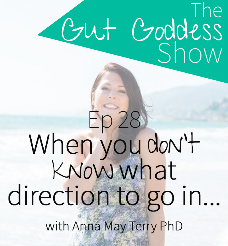 Ep 28: When you don't know what direction to go in...with Anna May Terry