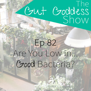 Ep 82: Are You Low In...Good Bacteria??