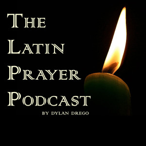 Episode 27 - Interview with Fr. Fromageot FSSP
