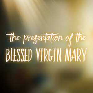 The Presentation of the Blessed Virgin Mary Explained (AND its connections to the Ark of the Covenant!)