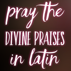 Pray the Divine Praises in Latin