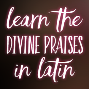 Learn the Divine Praises in Latin Easily