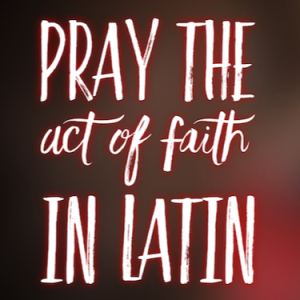 Pray the Act of Faith in Latin