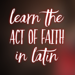 Learn to Pray the Act of Faith in Latin