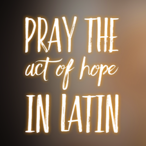 Pray the Act of Hope in Latin