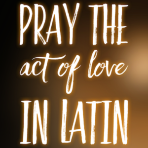Pray the Act of Love (Charity) in Latin
