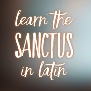 Learn the Sanctus in Latin