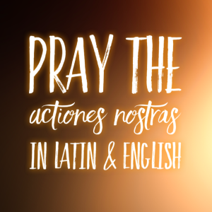 Pray the Actiones Nostras in Latin & English