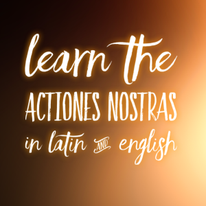 Learn the Actiones Nostras in Latin