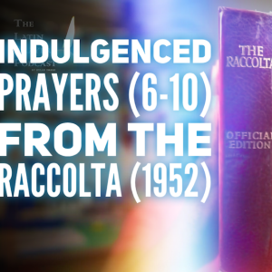 Indulgences of The Raccolta (1952) | Prayers 6-10