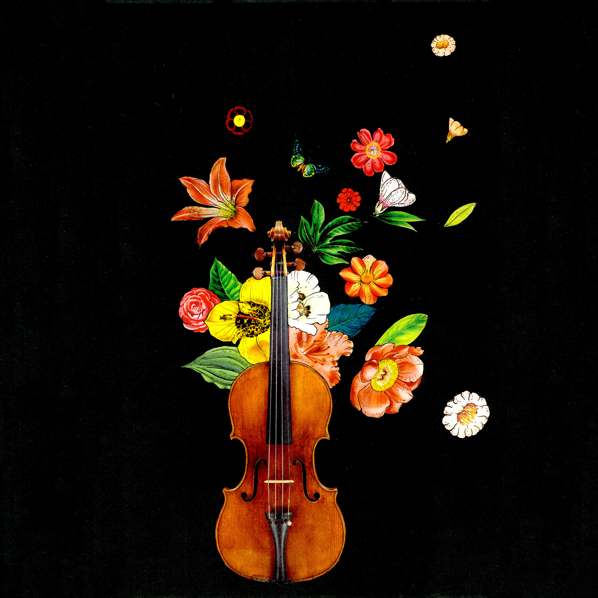 The Violin Chronicles Podcast