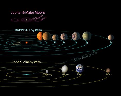 Trappist 1, Bees playing golf, Zealandia and Cucumber