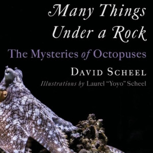 09-18-23 Dr. David Scheel Interview