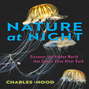 07-21-25 Charles Hood Interview