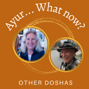 Episode 29 Meet the Doshas- Our Partners (and maybe a few other people)