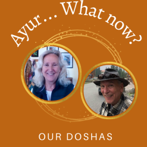 Episode 28 Meet the Doshas- Mary & Jerry